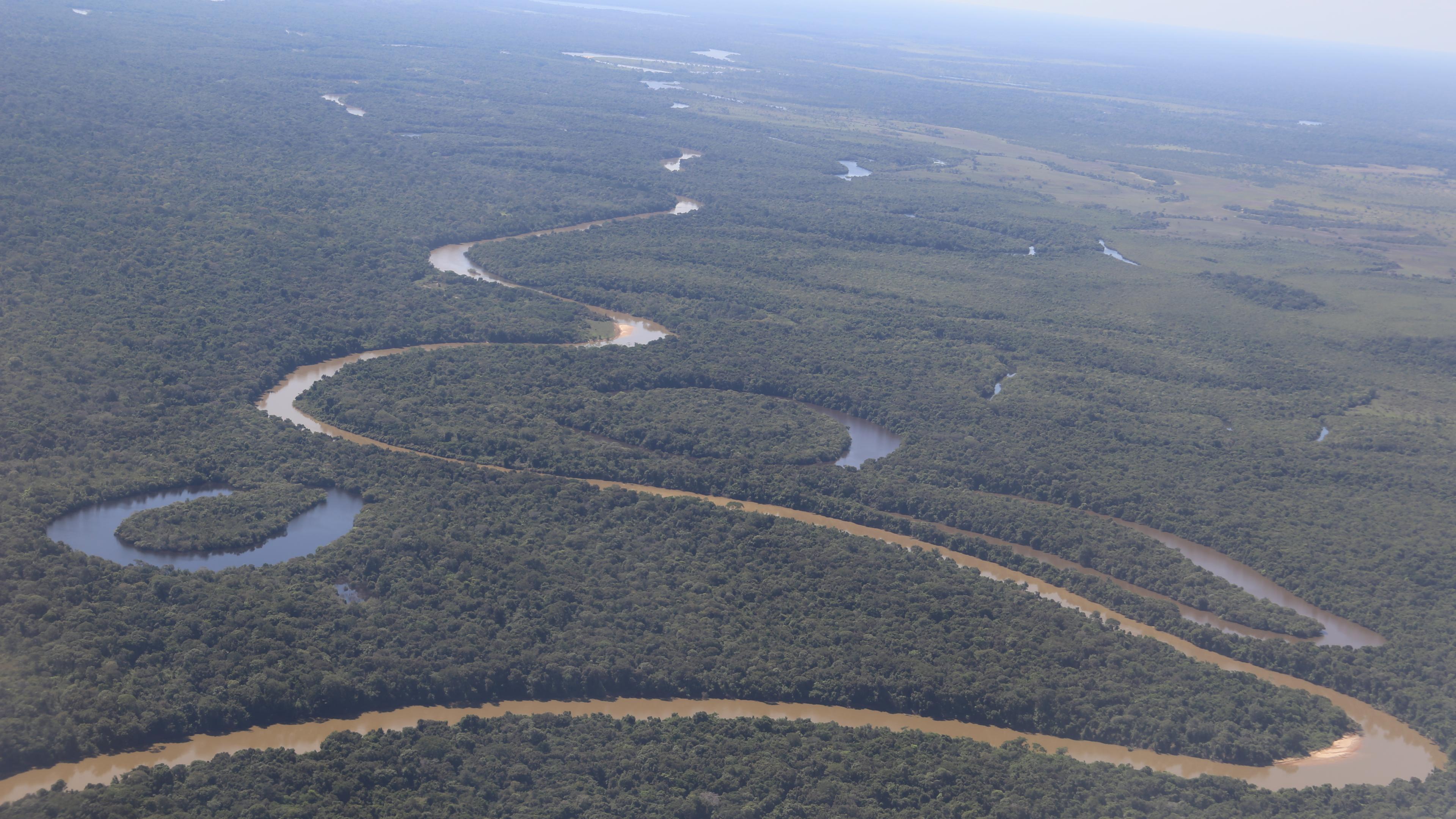 Windungen des Amazonas